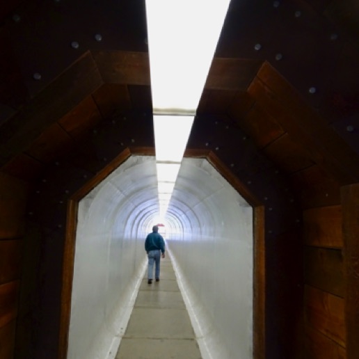 Tunnel to the Pit Tunnel to the Pit